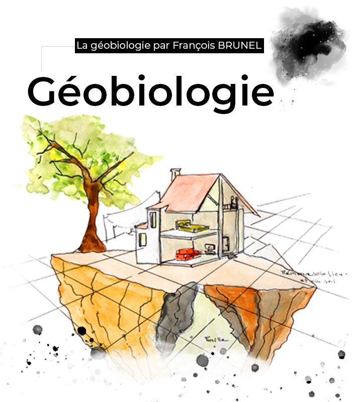 François Brunel le géobiologue permet d’harmoniser ce qui nous entourent en détectant et en agissant sur les énergies et sur l’invisible.